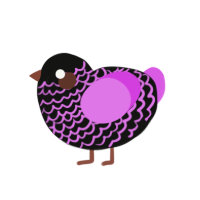 (unnamed), a black and orchid chicken with a lace pattern
