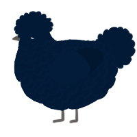 T-base-over, a tumblr chicken with a lace pattern