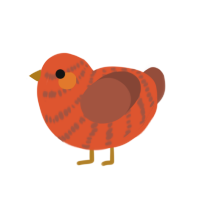 (unnamed), a vermilion and russet chicken with a bar pattern