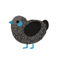 st jimmy, a grey and sable chicken with a double-lace pattern