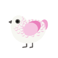 Maia, a white and pink chicken with a half-lace pattern