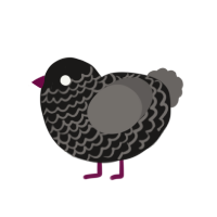 Eulogy, a sable and grey chicken with a lace pattern