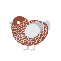 Cocoa, a russet and mist chicken with a lace pattern