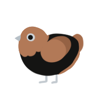 ufs black coffee, a black and brown chicken with a head pattern