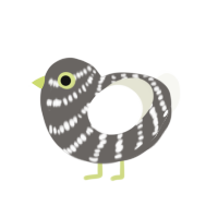 (unnamed), a grey and white chicken with a bar pattern