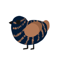 (unnamed), a tumblr and brown chicken with a bar pattern