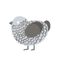 (unnamed), a mist and grey chicken with a lace pattern