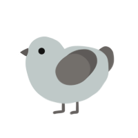 (unnamed), a silver and grey chicken