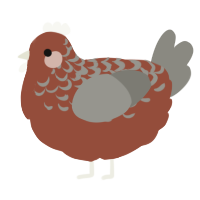 A russet and ash chicken with a half-lace pattern