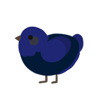 Saul Goodman, a tumblr and navy chicken with a head pattern