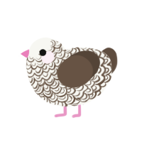 (unnamed), a white and bark chicken with a double-lace pattern