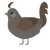 A grey and bark chicken with a half-lace pattern