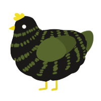 A sable and olive chicken with a bar pattern