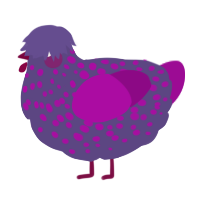 A overcast and plum chicken with a speckle pattern