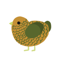 A gold and olive chicken with a lace pattern