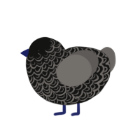 Annabel Lee, a black and grey chicken with a double-lace pattern