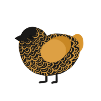A sable and orange chicken with a double-lace pattern