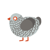 (unnamed), a silver and grey chicken with a lace pattern