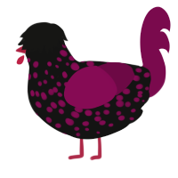 Licorice, a black and wine chicken with a speckle pattern