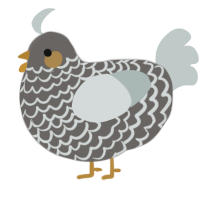 A grey and silver chicken with a lace pattern