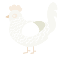 A white chicken with a lace pattern