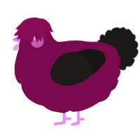 A wine and sable chicken