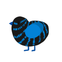 A sable and sapphire chicken with a bar pattern