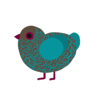 A bark and teal chicken with a double-lace pattern