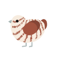 A cream and russet chicken with a bar pattern