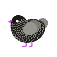 (unnamed), a sable and ash chicken with a lace pattern