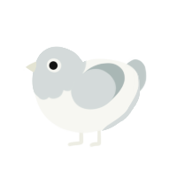 A white and silver chicken with a head pattern