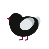 A black and mist chicken