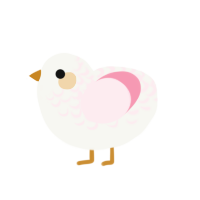 A white and rose chicken with a half-lace pattern