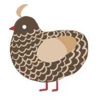 A bark and beige chicken with a lace pattern