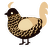 rootbeer, a black and beige chicken with a lace pattern