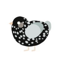 A black and silver chicken with a speckle pattern