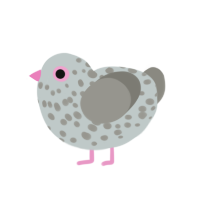 A silver and ash chicken with a speckle pattern