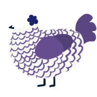 Selene, a white and overcast chicken with a lace pattern