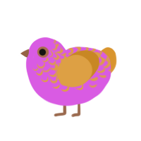 A orchid and orange chicken with a half-lace pattern