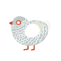 A silver and white chicken with a lace pattern
