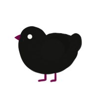 A black chicken with a half-lace pattern