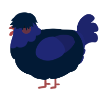 A tumblr and navy chicken with a head pattern