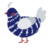 Jonker, a navy and mist chicken with a bar pattern