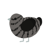 A grey and black chicken with a bar pattern