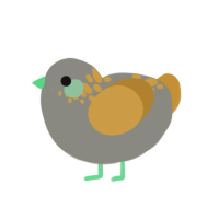 A ash and gold chicken with a neck-speckle pattern