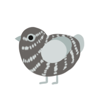 A grey and silver chicken with a bar pattern