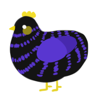 Crowlas, a black and indigo chicken with a bar pattern