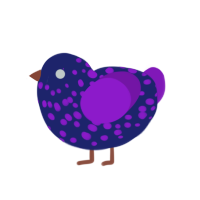 A navy and violet chicken with a speckle pattern