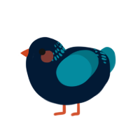 A tumblr and sea chicken with a neck-band pattern