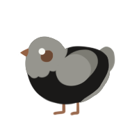 A sable and ash chicken with a head pattern
